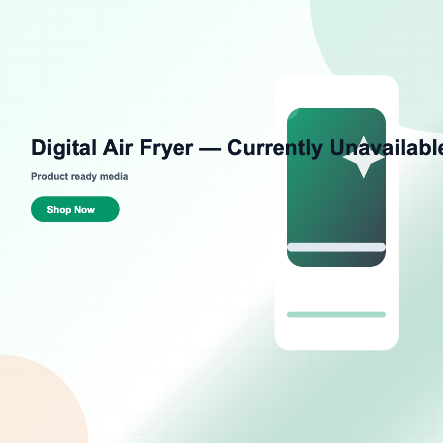 Digital Air Fryer — Currently Unavailable